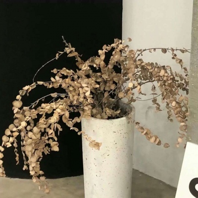 尤溪FurryQQ群介绍